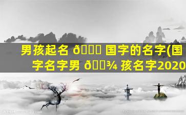 男孩起名 🐘 国字的名字(国字名字男 🌾 孩名字2020)